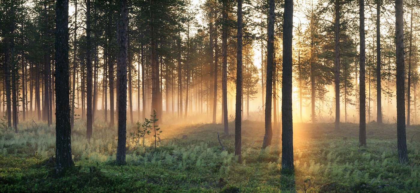 tomas_utsi-midnight_sun-1585.jpg